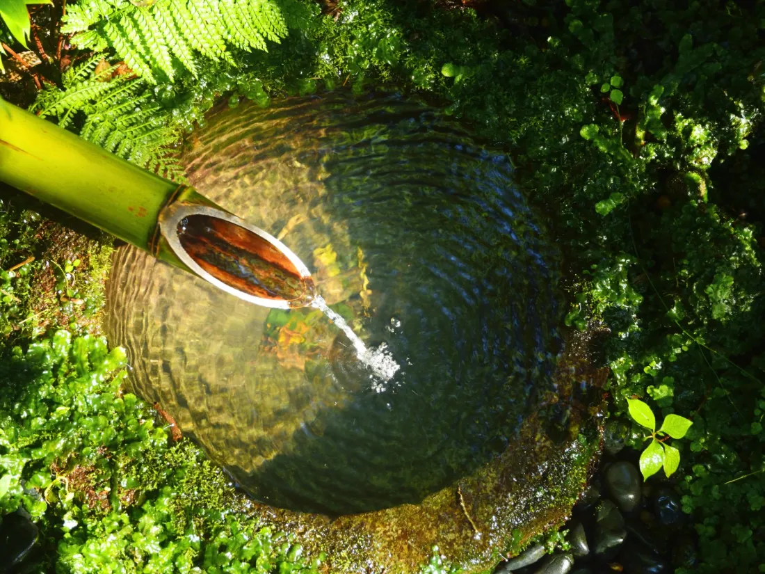 Clear water running from a bamboo spout into a mossy stone basin